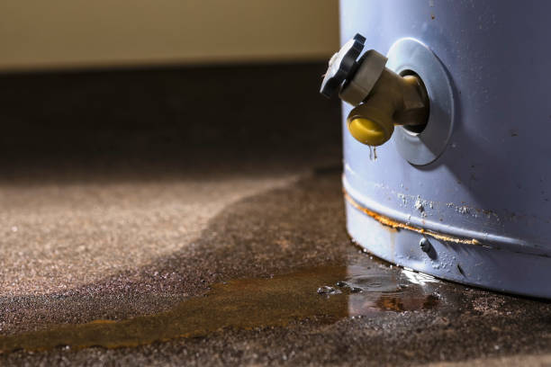 Best Basement water damage restoration  in Raceland, KY