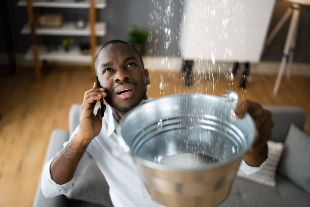 Best Water damage cleanup near me  in Raceland, KY