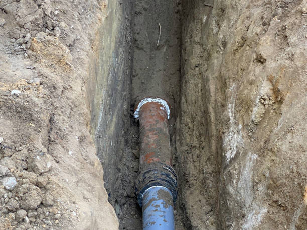 Best Flood damage cleanup  in Raceland, KY