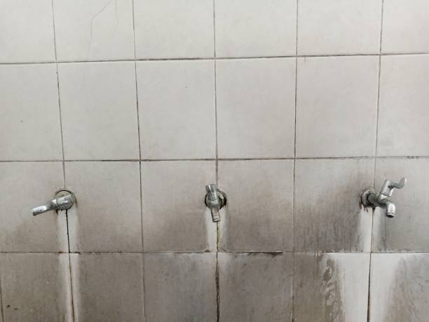 Best Sewage cleanup and water damage restoration  in Raceland, KY