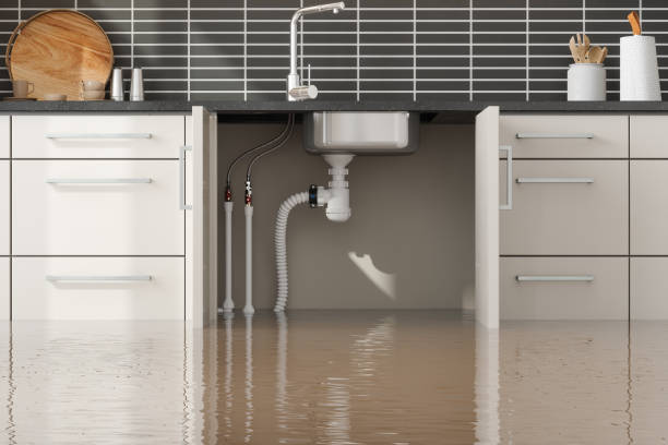 Best Mold removal after water damage  in Raceland, KY