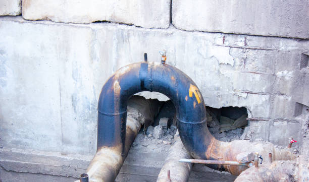Best Sewage cleanup and water damage restoration  in Raceland, KY